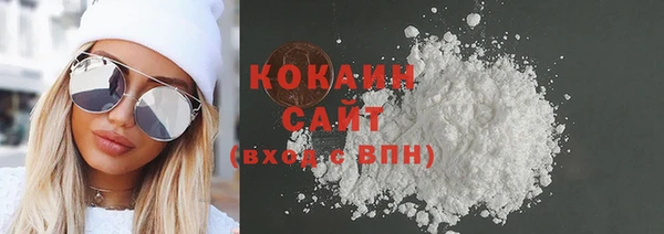 шишки Новозыбков