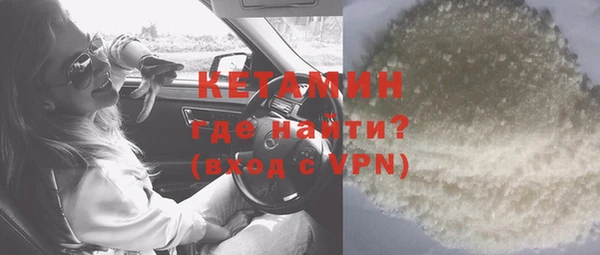шишки Новозыбков