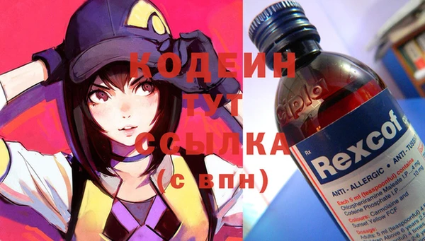 шишки Новозыбков