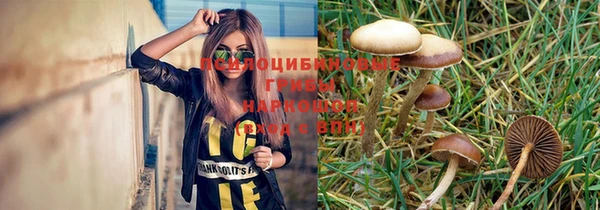 шишки Новозыбков