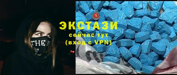 шишки Новозыбков