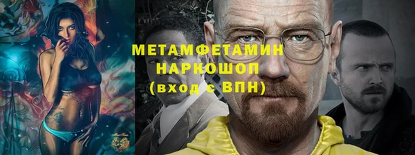 шишки Новозыбков