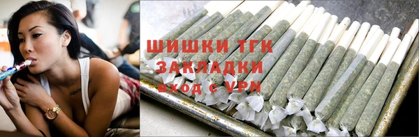 шишки Новозыбков